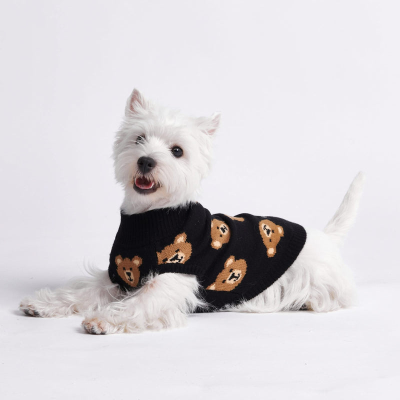 Maglione per cane lavorato a maglia - Orsetto di pezza rotto