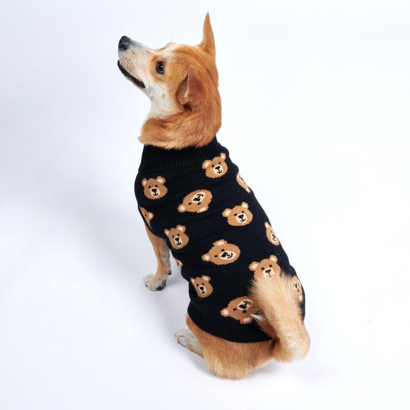Maglione per cane lavorato a maglia - Orsetto di pezza rotto