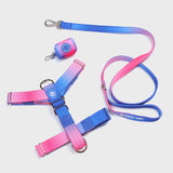 Set di imbracatura per cani Comfort Control No-Pull - Snow Cone
