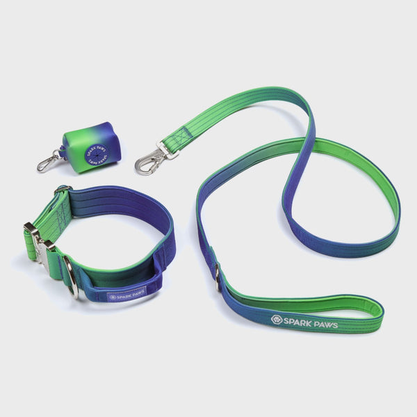 Set di collari tattici per cani - Lime Wave