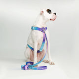 Set di imbracatura per cani Comfort Control No-Pull - 90s Retro