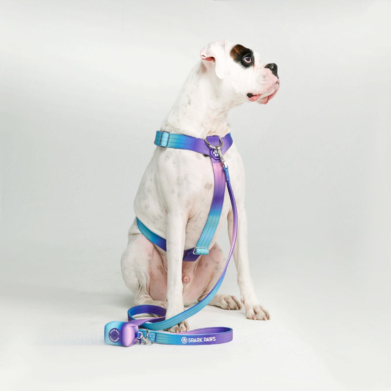 Set di imbracatura per cani Comfort Control No-Pull - 90s Retro