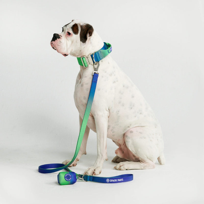 Set di collari tattici per cani - Lime Wave