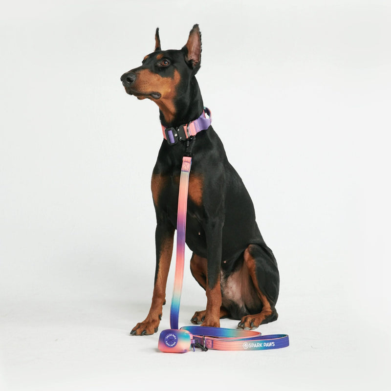 Set di collari tattici per cani - Caleidoscopio (1,5"/4 cm)
