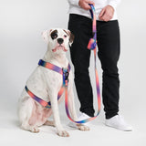 Imbracatura per cani Comfort Control No-Pull - Caleidoscopio