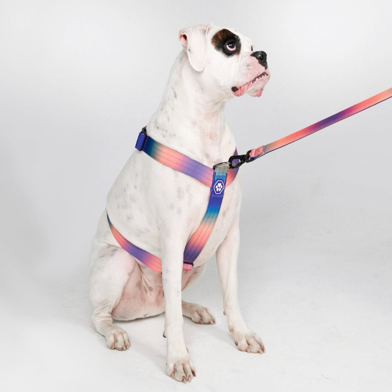Imbracatura per cani Comfort Control No-Pull - Caleidoscopio