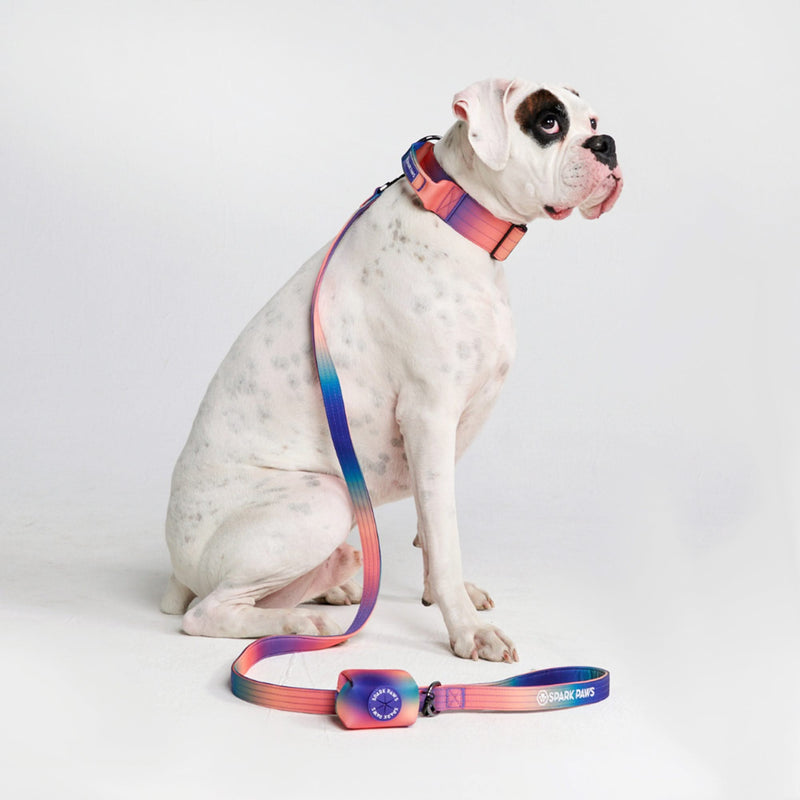 Set di collari tattici per cani - Caleidoscopio (2"/5 cm)