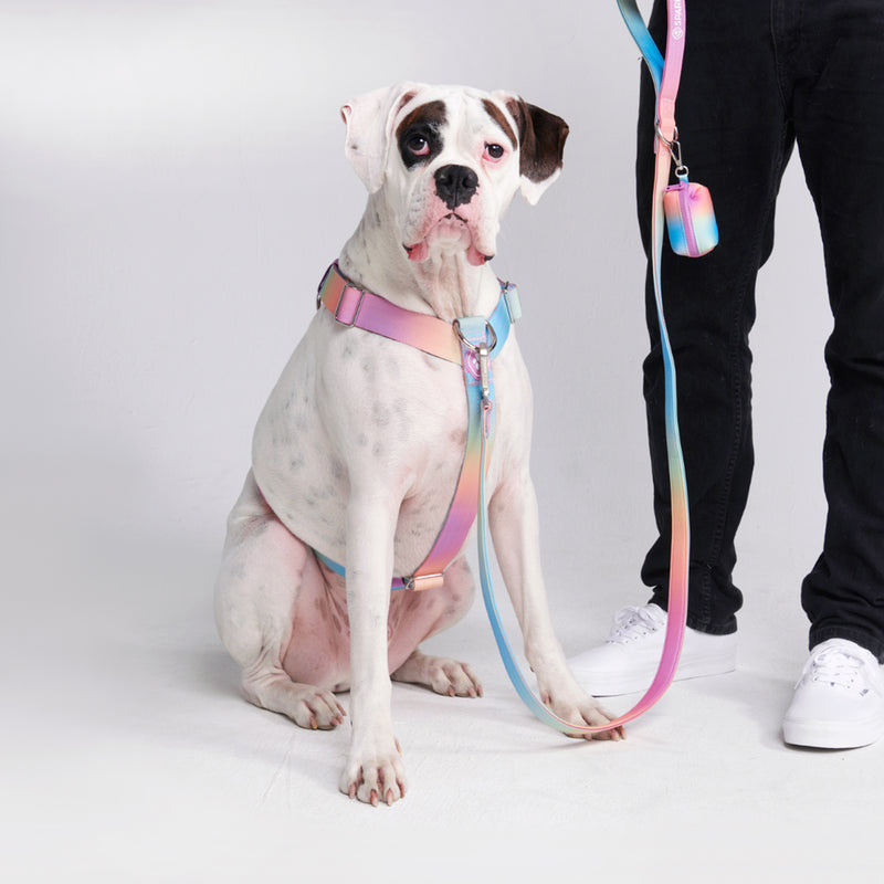 Imbracatura per cani Comfort Control No-Pull - Glassa Pastello