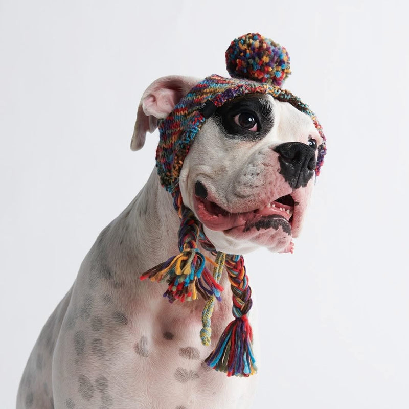 Cappello per cani Pom Pom in Maglia