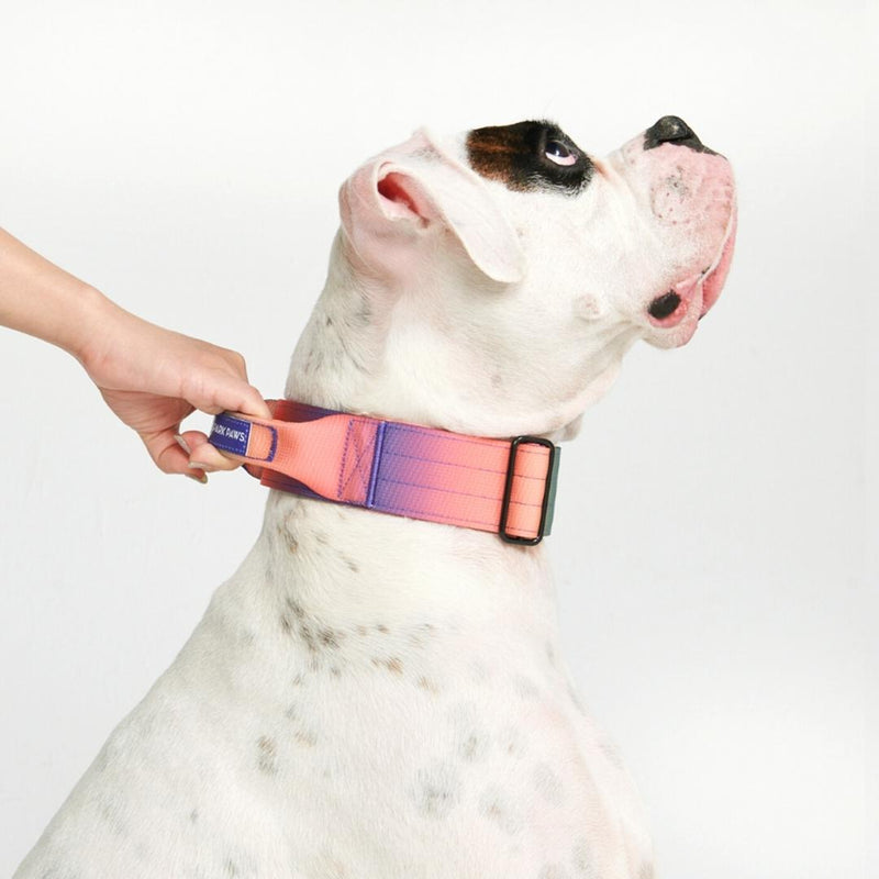 Collare tattico per cani - Caleidoscopio