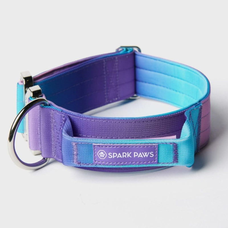 Collare tattico per cani - 90s Retro