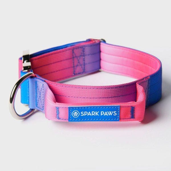 Collare tattico per cani - Cono di Neve (1,5"/4 cm)