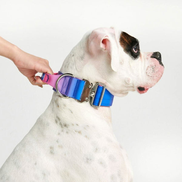 Collare tattico per cani - Cono di Neve (2"/5 cm)