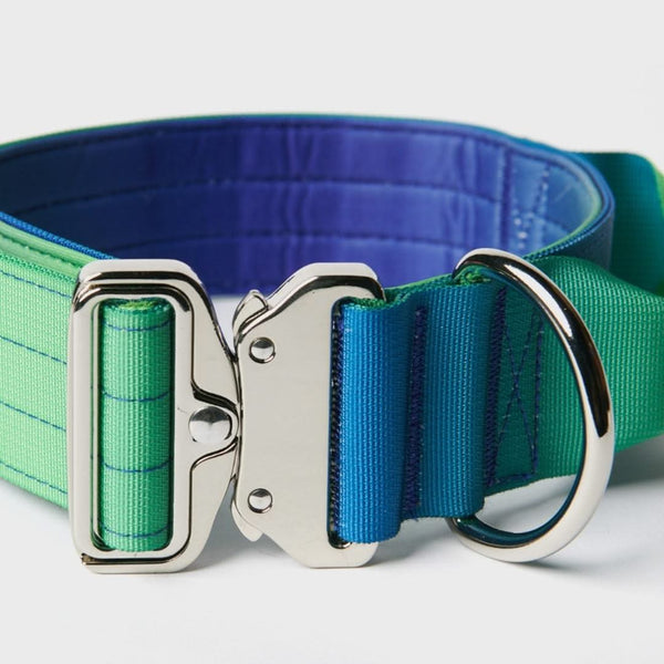 Collare tattico per cani - Lime Wave (2"/5cm)