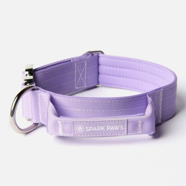 Set di collari tattici per cani - Lilla (1,5"/4 cm)