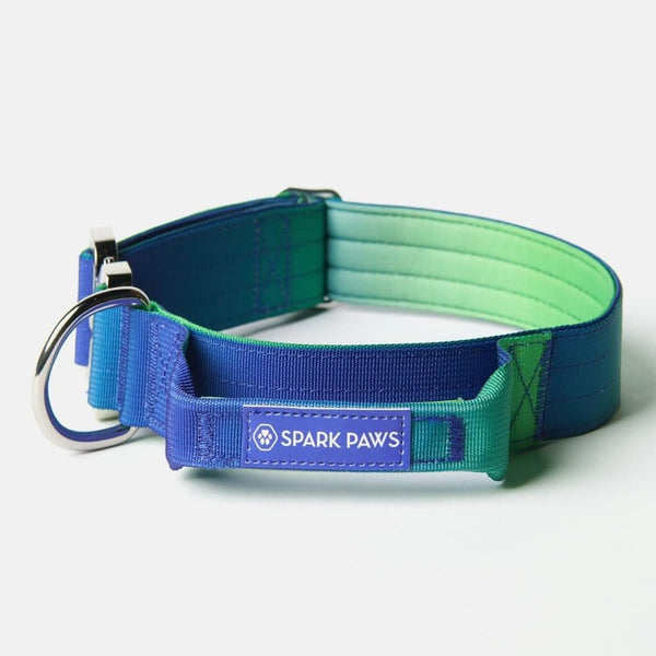 Collare tattico per cani - Lime Waves (1,5"/4cm)