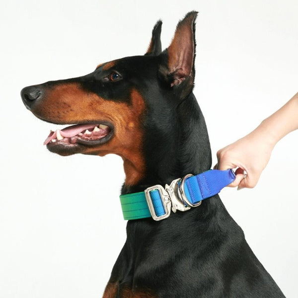 Collare tattico per cani - Lime Waves (1,5"/4cm)