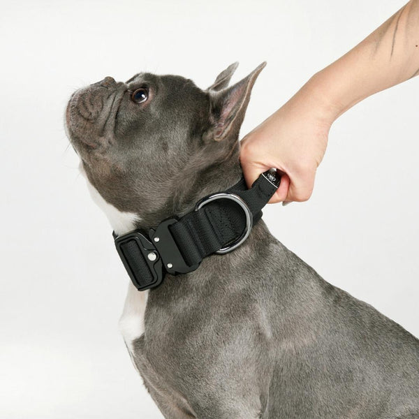 Collare tattico per cani - Nero (1,5"/4 cm)