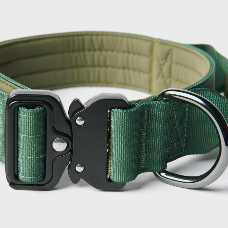 Collare tattico per cani - Verde Militare (1,5"/4 cm)