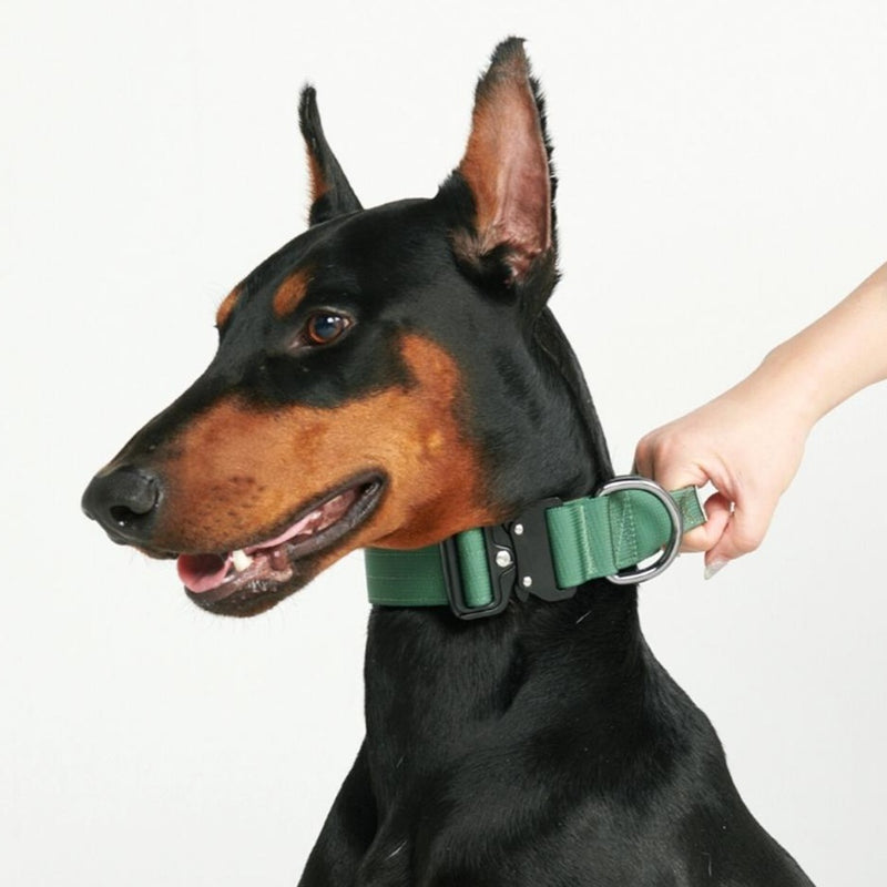 Collare tattico per cani - Verde Militare (1,5"/4 cm)